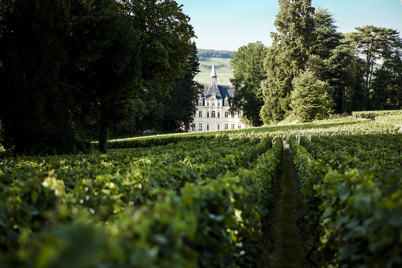 Champagne Château de Boursault : un domaine et un champagne d