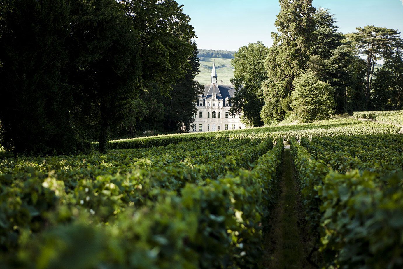 An exceptional domain - Champagne Château de Boursault