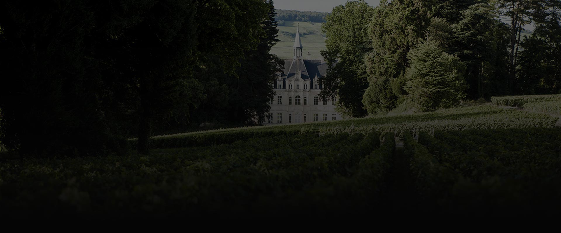 An exceptional estate - Champagne Château de Boursault