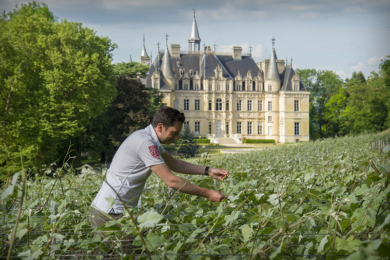 Alex Fringhian - Champagne Château de Boursault