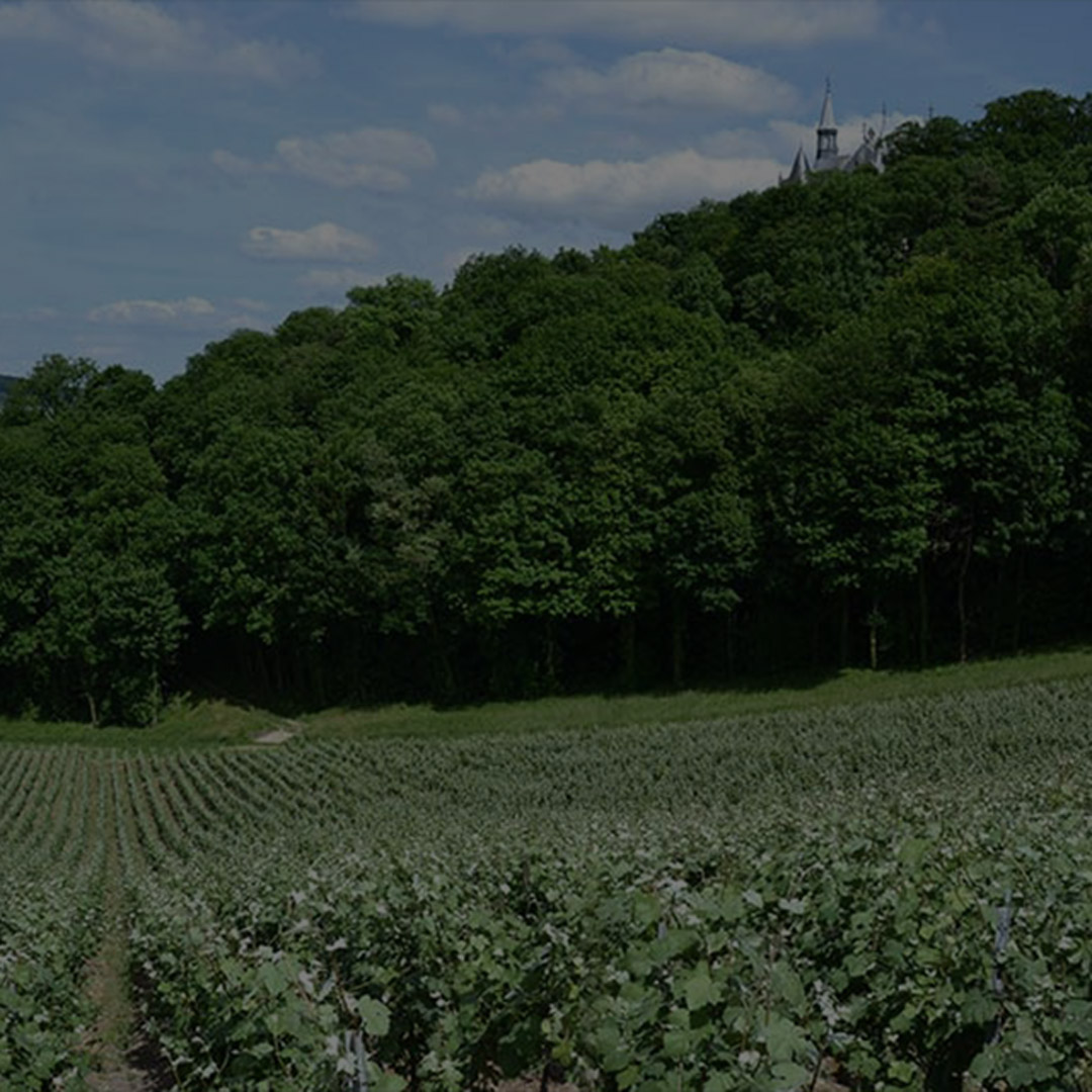 High environmental value - Champagne Château de Boursault