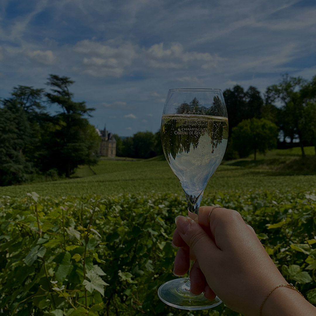 Sustainable viticulture and High Environmental Value - Champagne Château de Boursault